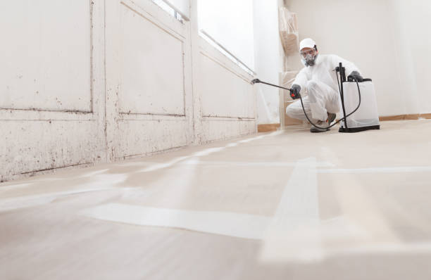 24/7 Emergency Black Mold Remediation experts in Fort Lauderdale, FL