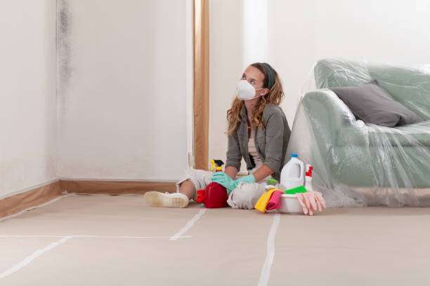 Reliable Black Mold Remediation contractor in Fort Lauderdale, FL by 24 Hour Mold Removal
